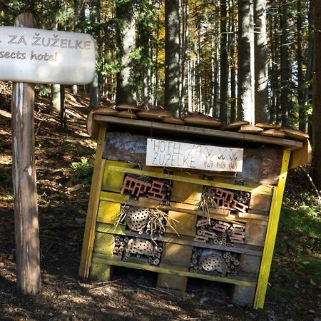 Green Village Rusevec Hočko Pohorje Esterno foto